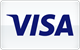 Visa card payment accepted at LuckyCapone Casino